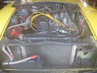 heat shield from front of car 457x343.JPG